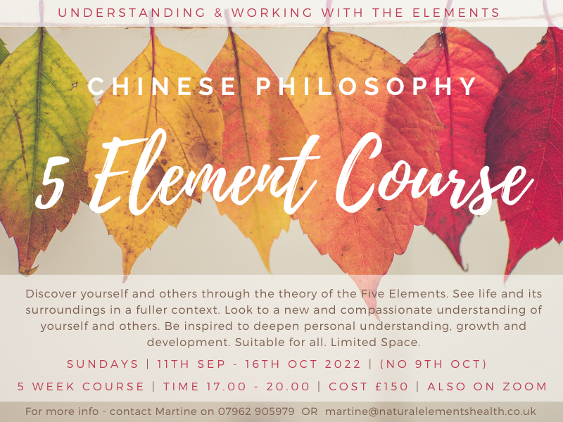 Five Element Course Chinese Medicine Natural Elements Bournemouth UK